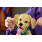 LEGO® Golden retriever kutyus