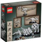 LEGO® Dinoszaurusz maradványok
