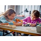 LEGO®McLaren Solus GT & McLaren F1 LM